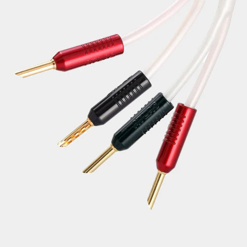 Rega + Dali Starter System Bundle