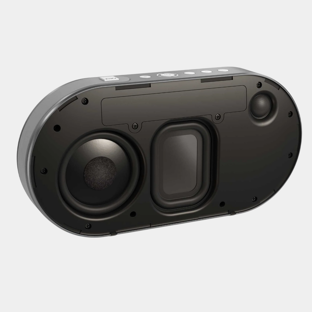 Dali Katch G2 Portable Bluetooth Speaker