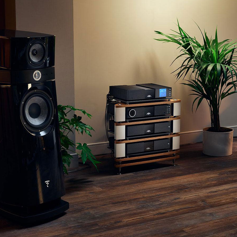 NAIM NAP 350 Power Amplifier (pair)