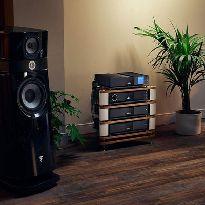 NAIM NAP 350 Power Amplifier (pair)