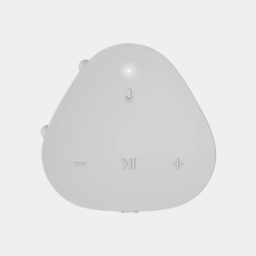 Sonos Roam 2