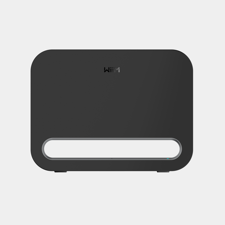 WiiM Sub Pro