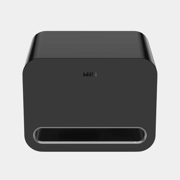 WiiM Sub Pro