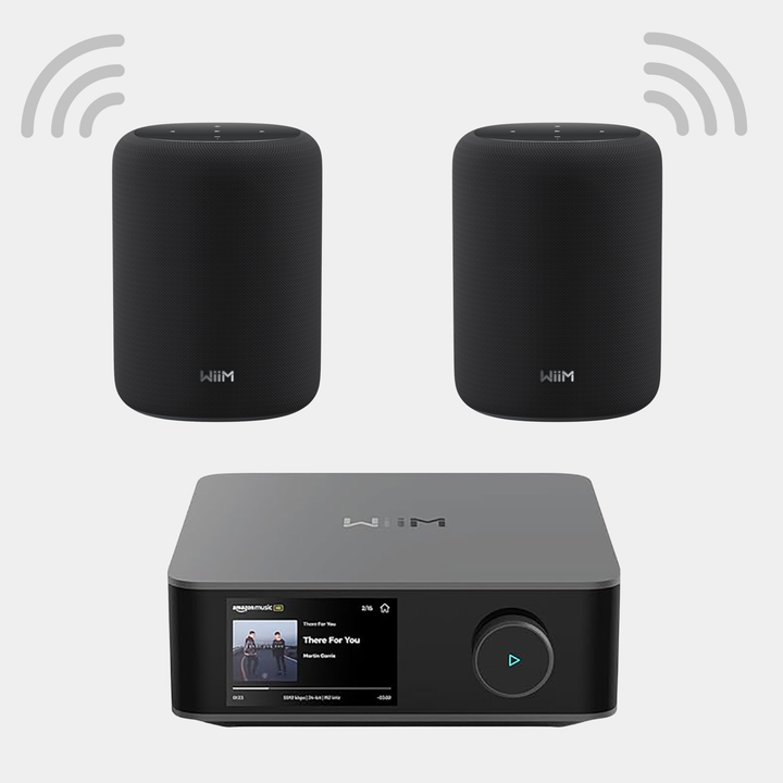 WiiM Multiroom Audio Starter Bundle
