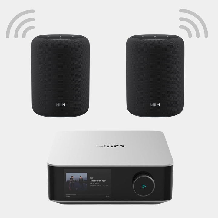 WiiM Multiroom Audio Starter Bundle