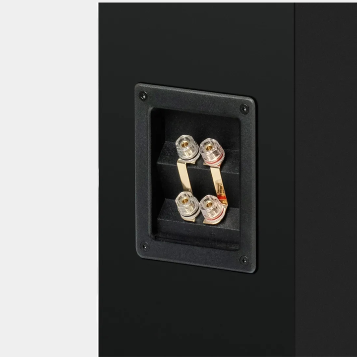 Pro-Ject Speaker Box 12 E Carbon Floorstanding Loudspeakers
