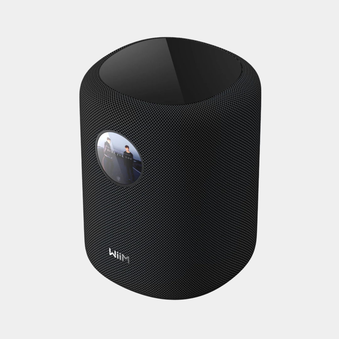 WiiM Sound Wireless Multiroom Speaker - Clearance (Various)
