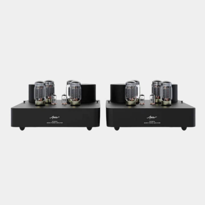 Fezz Olympia MONO Tube Power Amplifiers (Pair)