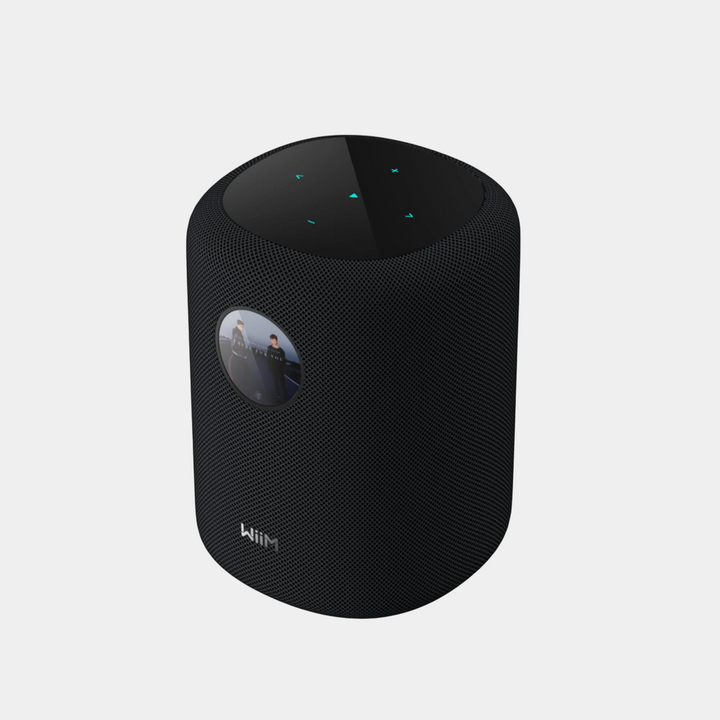 WiiM Sound Wireless Multiroom Speaker