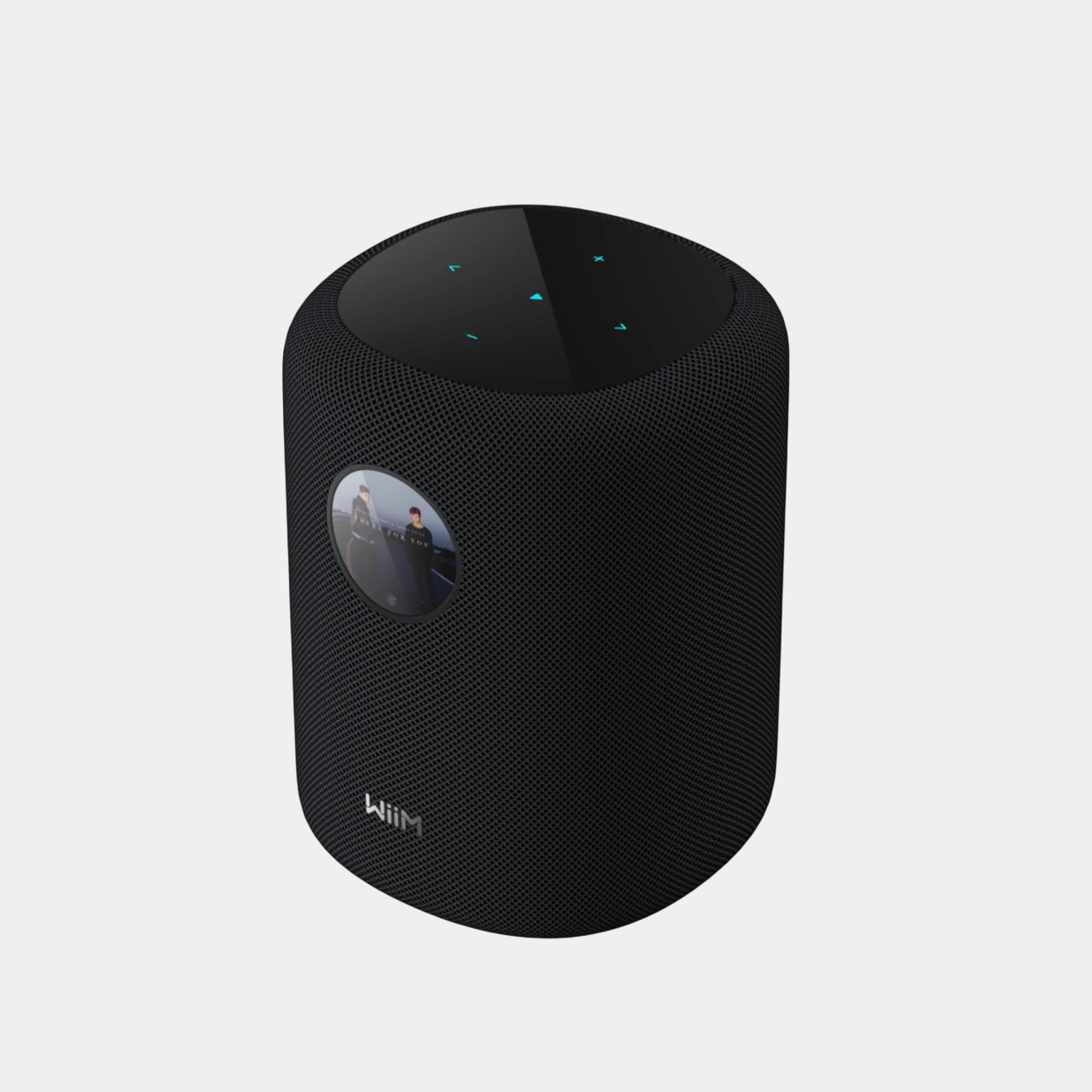 WiiM Sound (Pre-Order)