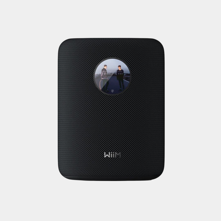 WiiM Sound Wireless Multiroom Speaker