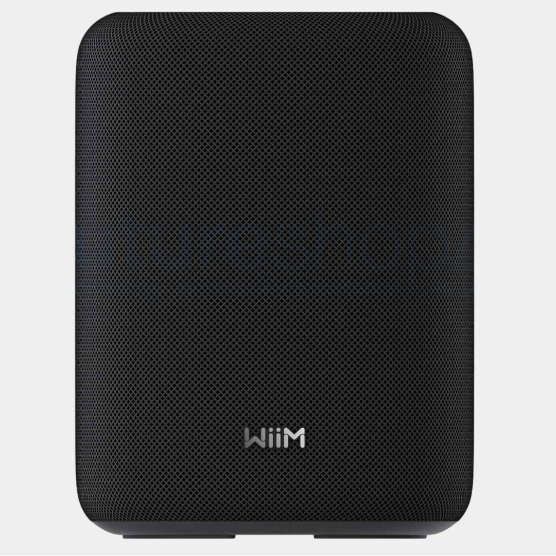 WiiM Sound Lite Wireless Multiroom Speaker