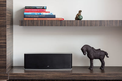 Paradigm PW 800 Wireless Speaker - Ex-Demonstration