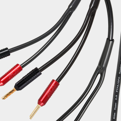 Atlas Hyper  2.0 speaker cable fitted with Achromatic Z plugs