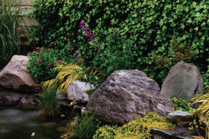 Paradigm Rock Monitor 80-SM (Single)